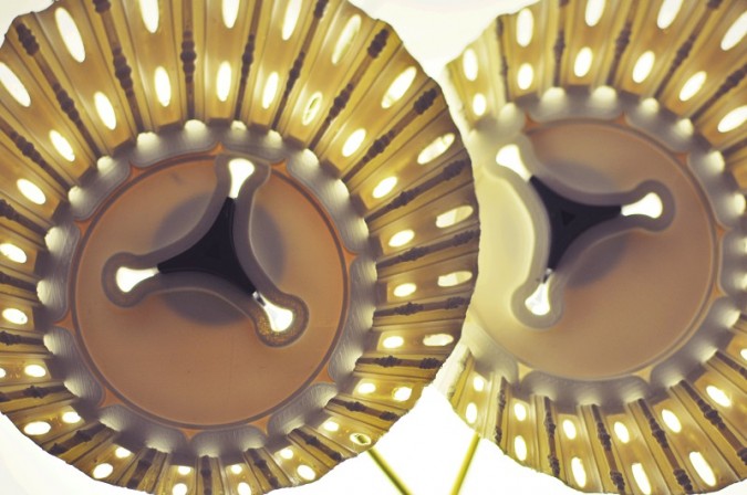 מיכל לויצקי