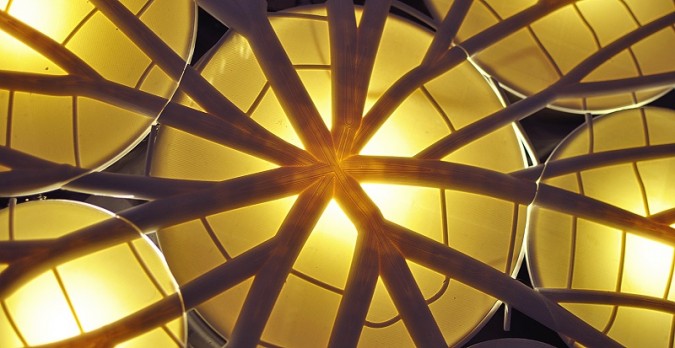 מיכל לויצקי