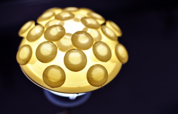 מיכל לויצקי